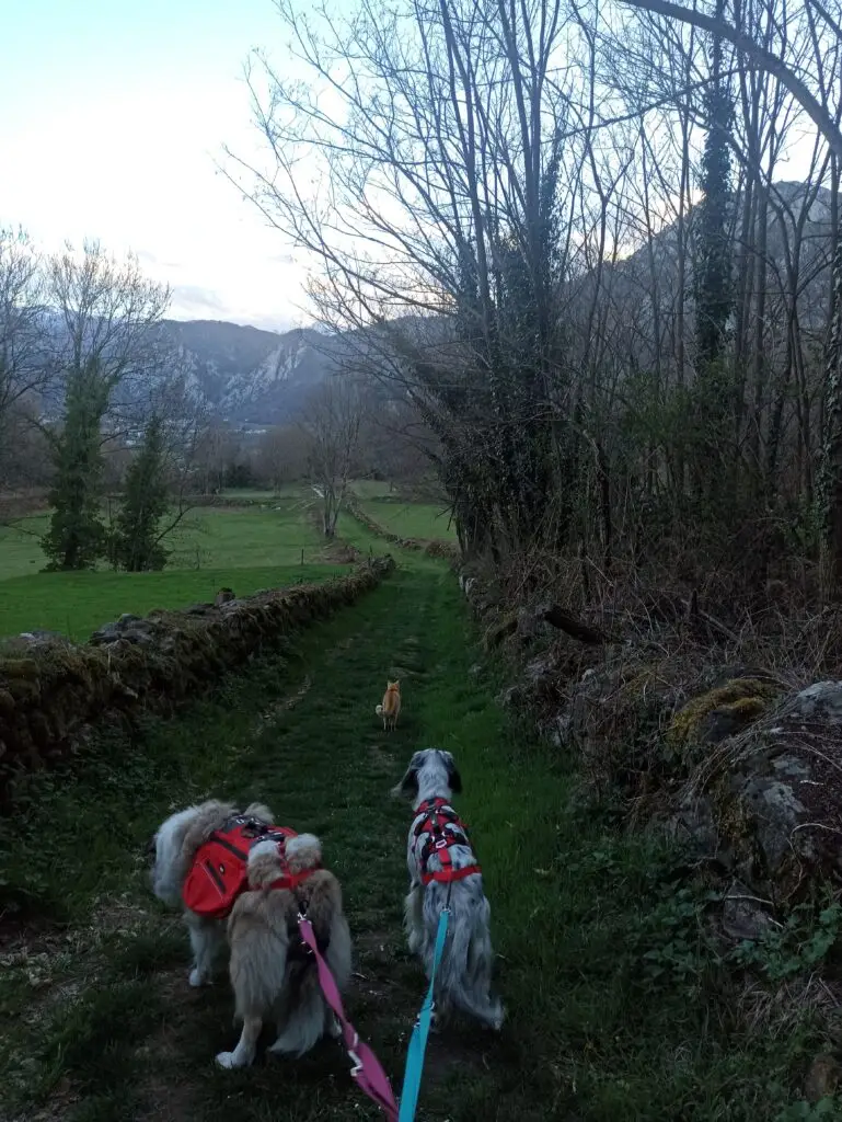 Promenade avec mes animaux. Au loin un village entouré des montagnes environnantes. 
